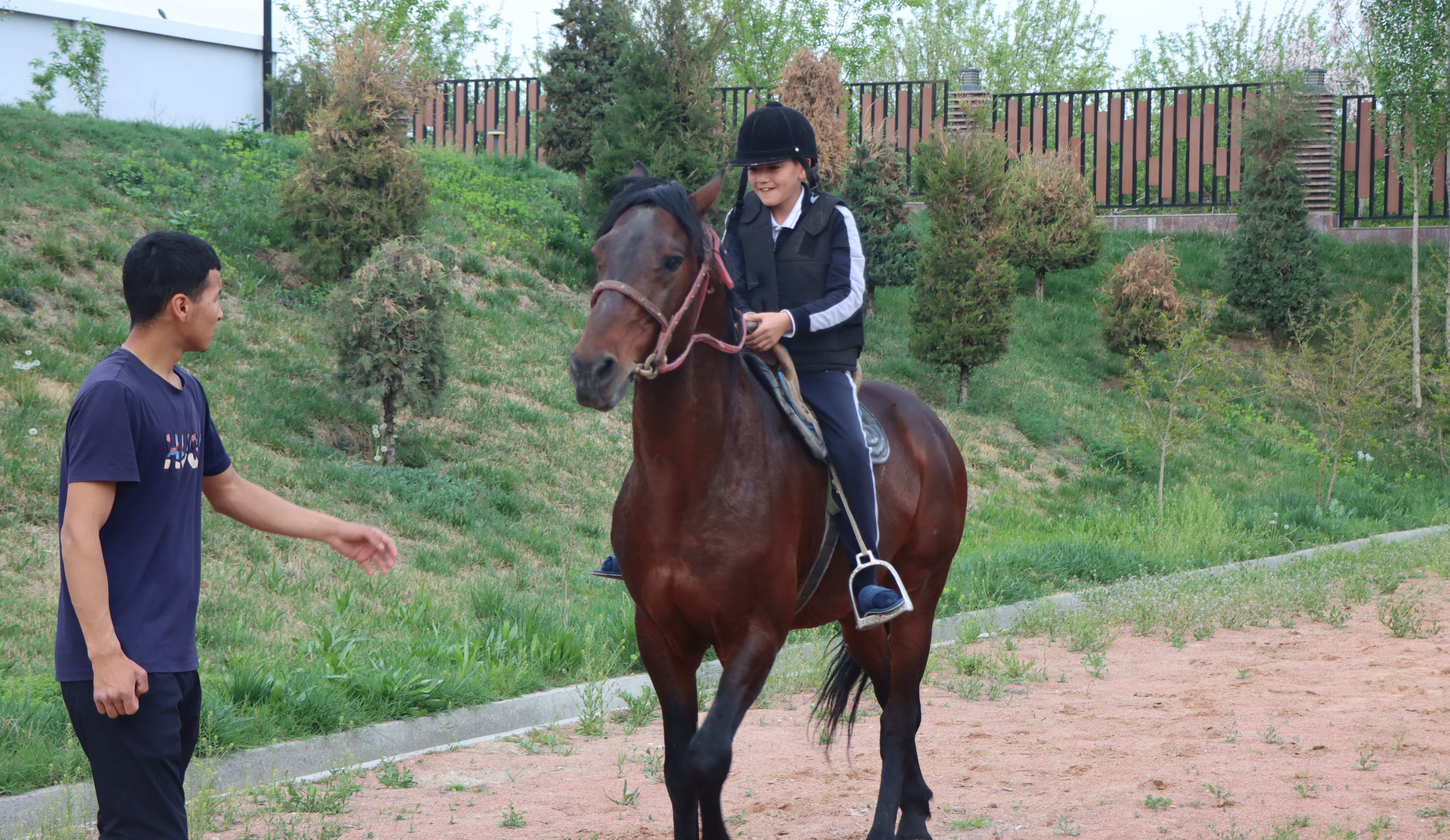 horse